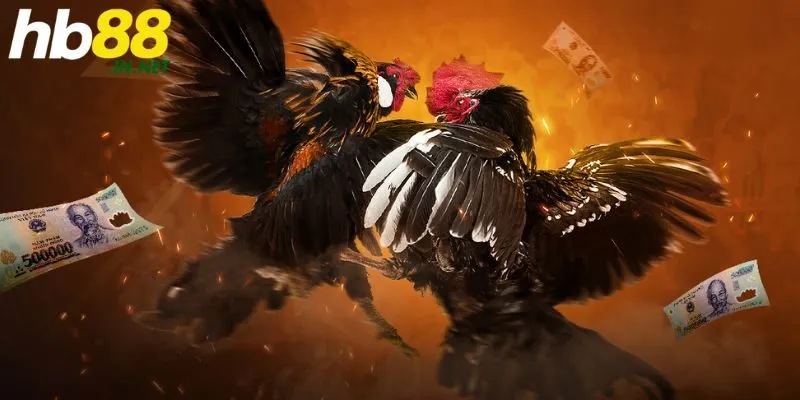 Đá gà SV128 – Sảnh chơi thú vị, an toàn nhất năm 2025!